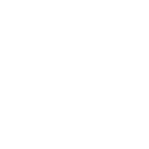 Local Bali Guide